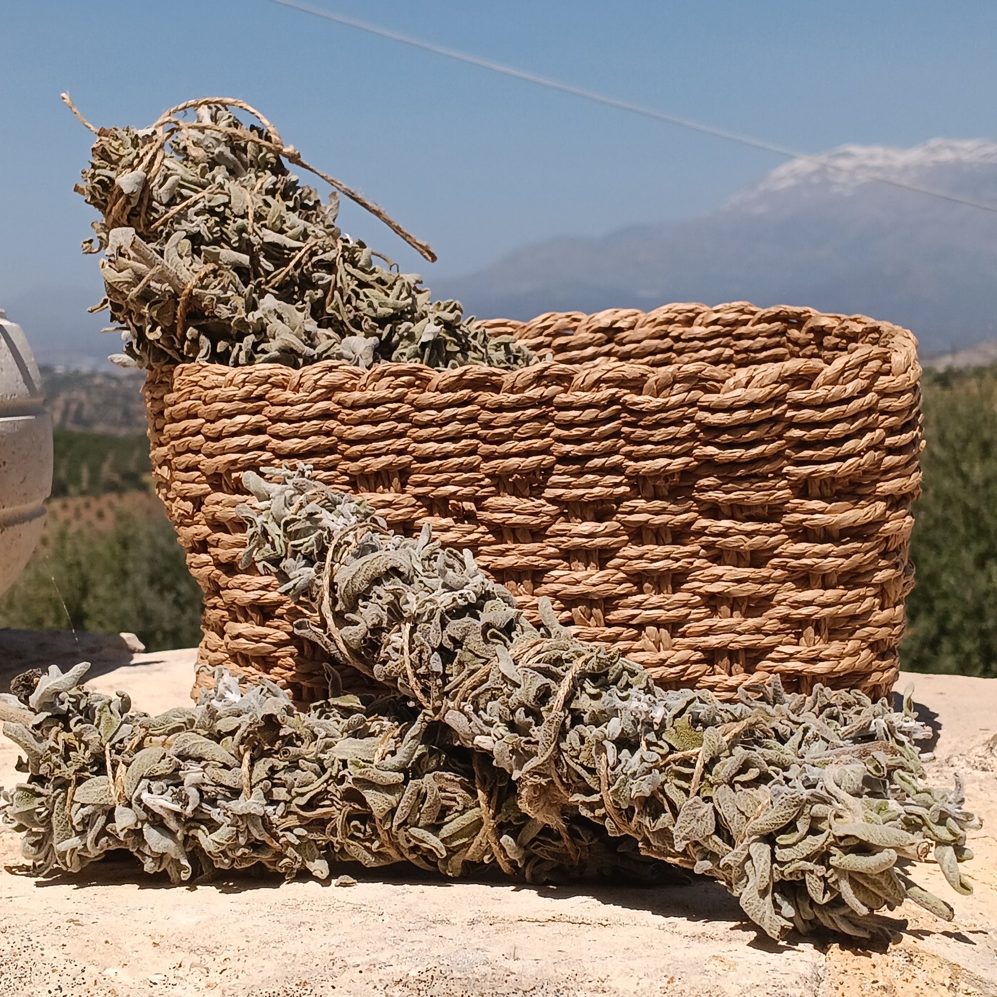 Cretan Sage Smudge Stick | Biodynamic