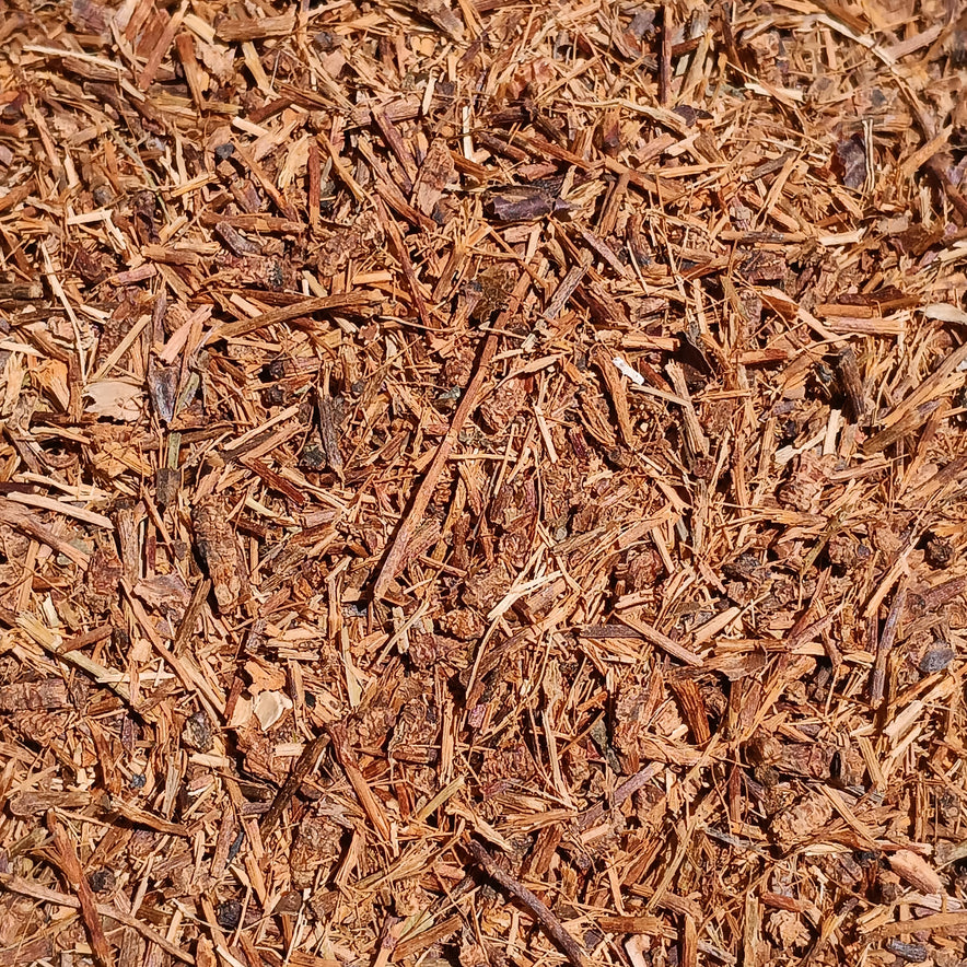 Image for Κερασοουρές (Prunus Avium)