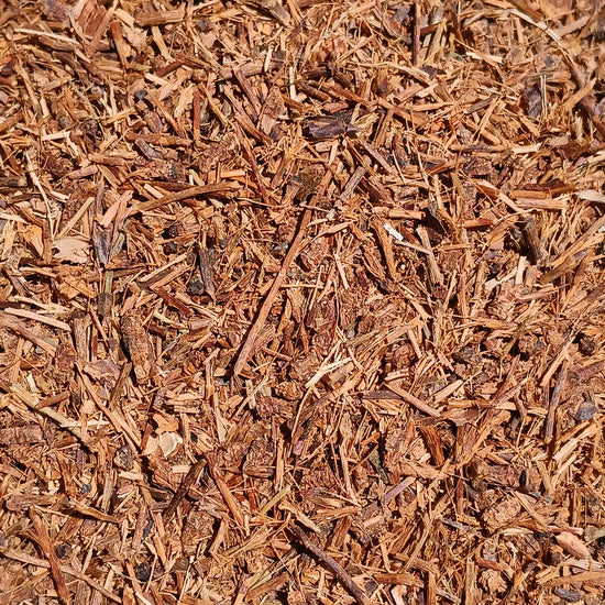 Kirschstiele / Stiele (Prunus Avium)