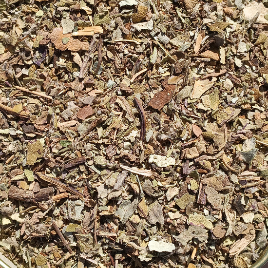 Huflattich (Tussilago Farfara)