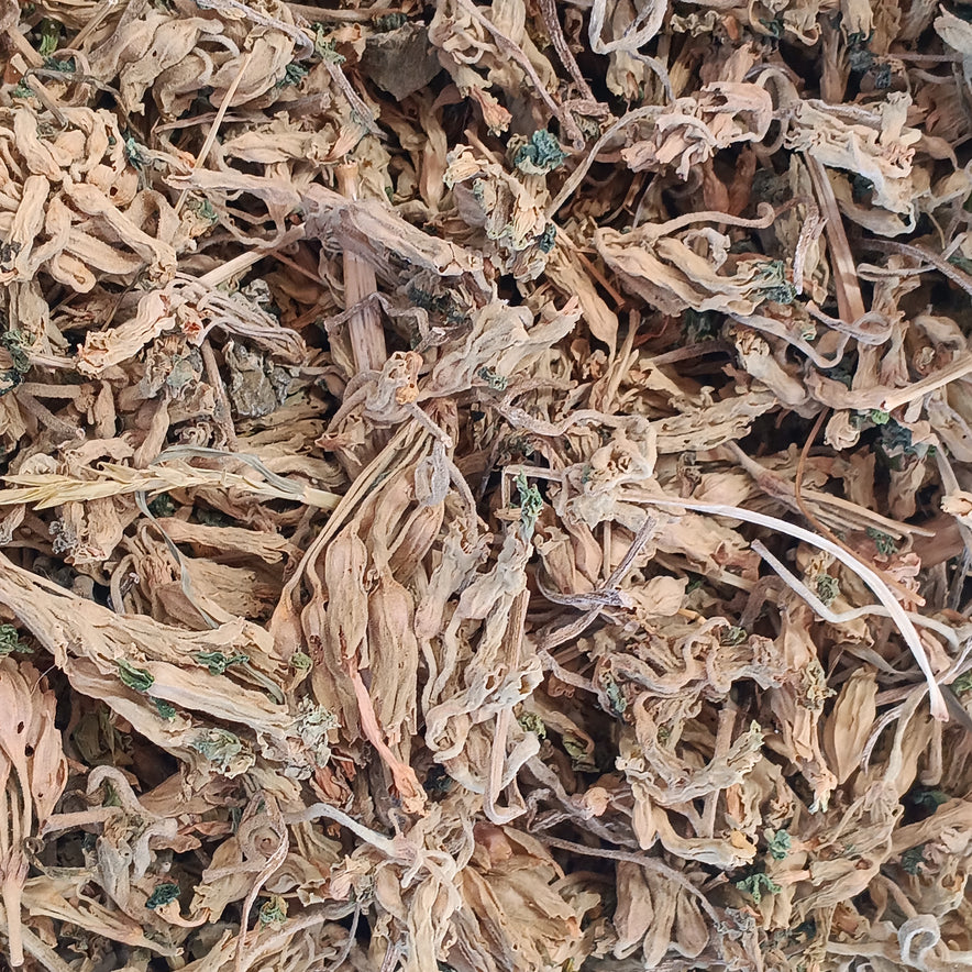 Image for Πρίμουλα (Primula Veris)