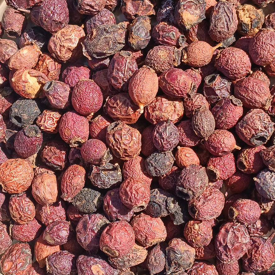 Image for Baies d'aubépine (Crataegus monogyna)