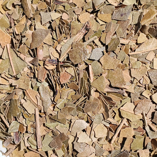 Erdbeerbaum (Arbutus Unedo)