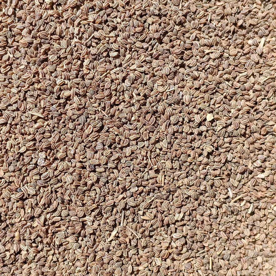 Image for Σέλινο Σπόροι (Apium Graveolens)