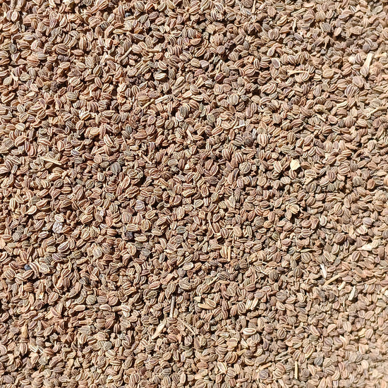 <transcy>Σέλινο Σπόροι (Apium Graveolens)</transcy>