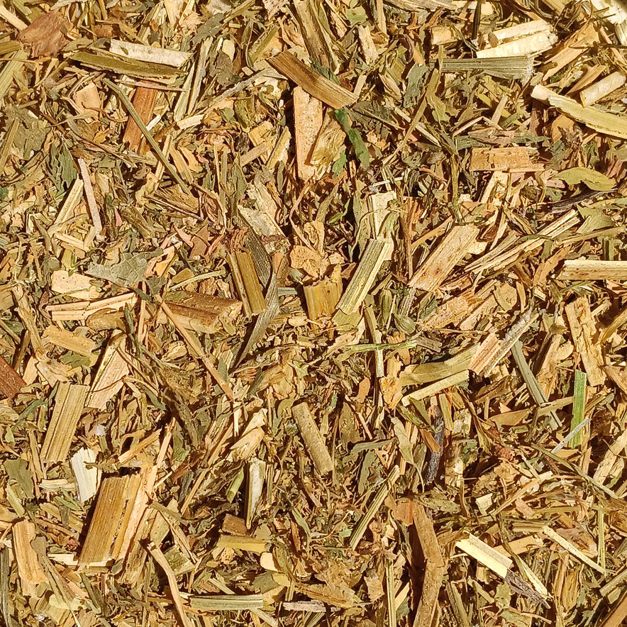 Image for Alfalfa (Medicago Sativa)
