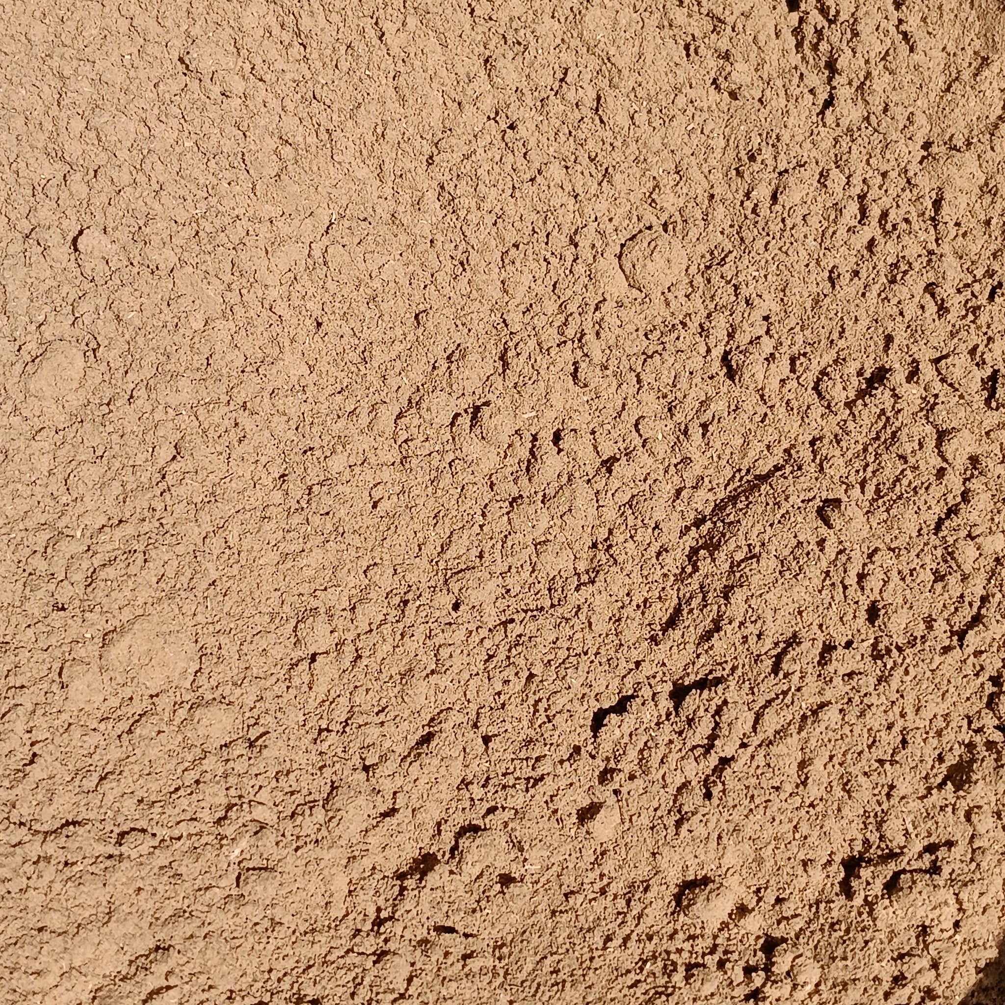 Brahmi Powder (Bacopa Monnieri) | Organic