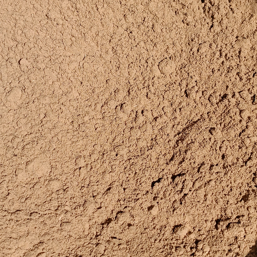 Image for Brahmi Powder (Bacopa Monnieri) | Organic