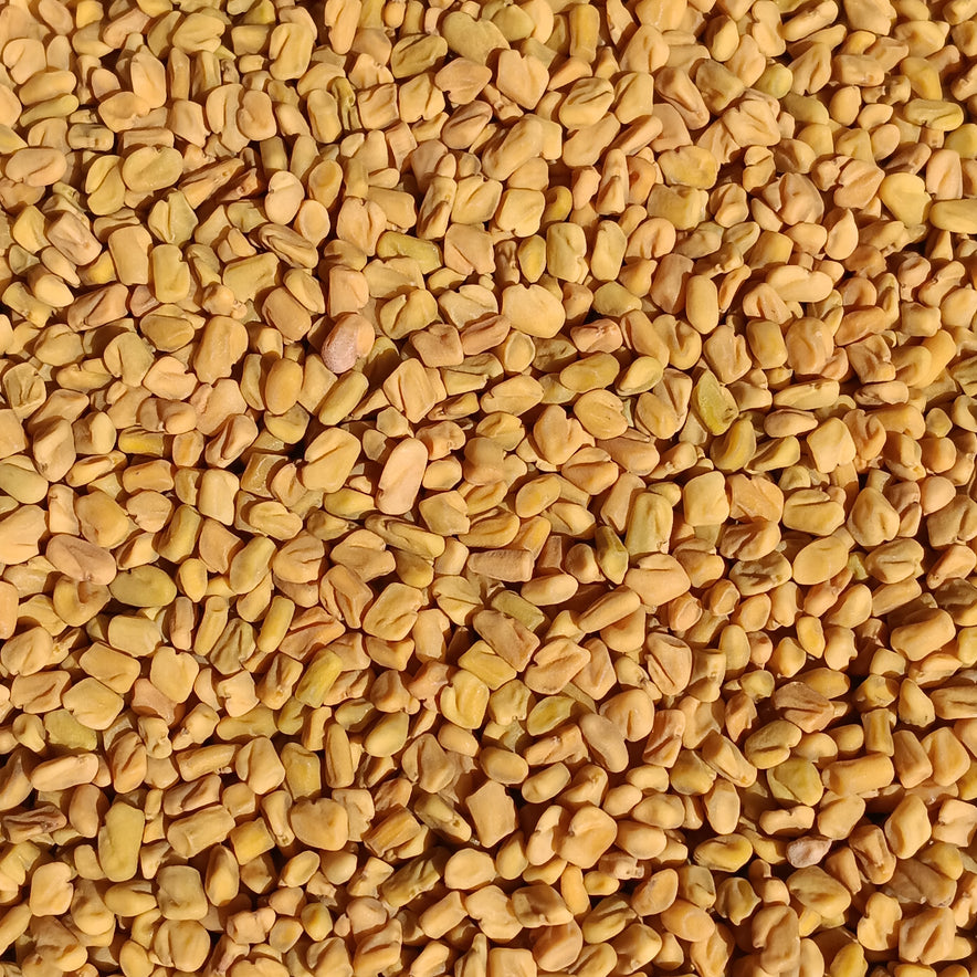 Image for Fenugreek Seeds (Trigonella Foenum-Graecum)