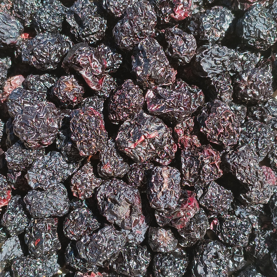 Image for Black Chokeberry (Aronia Melanocarpa) - Organic