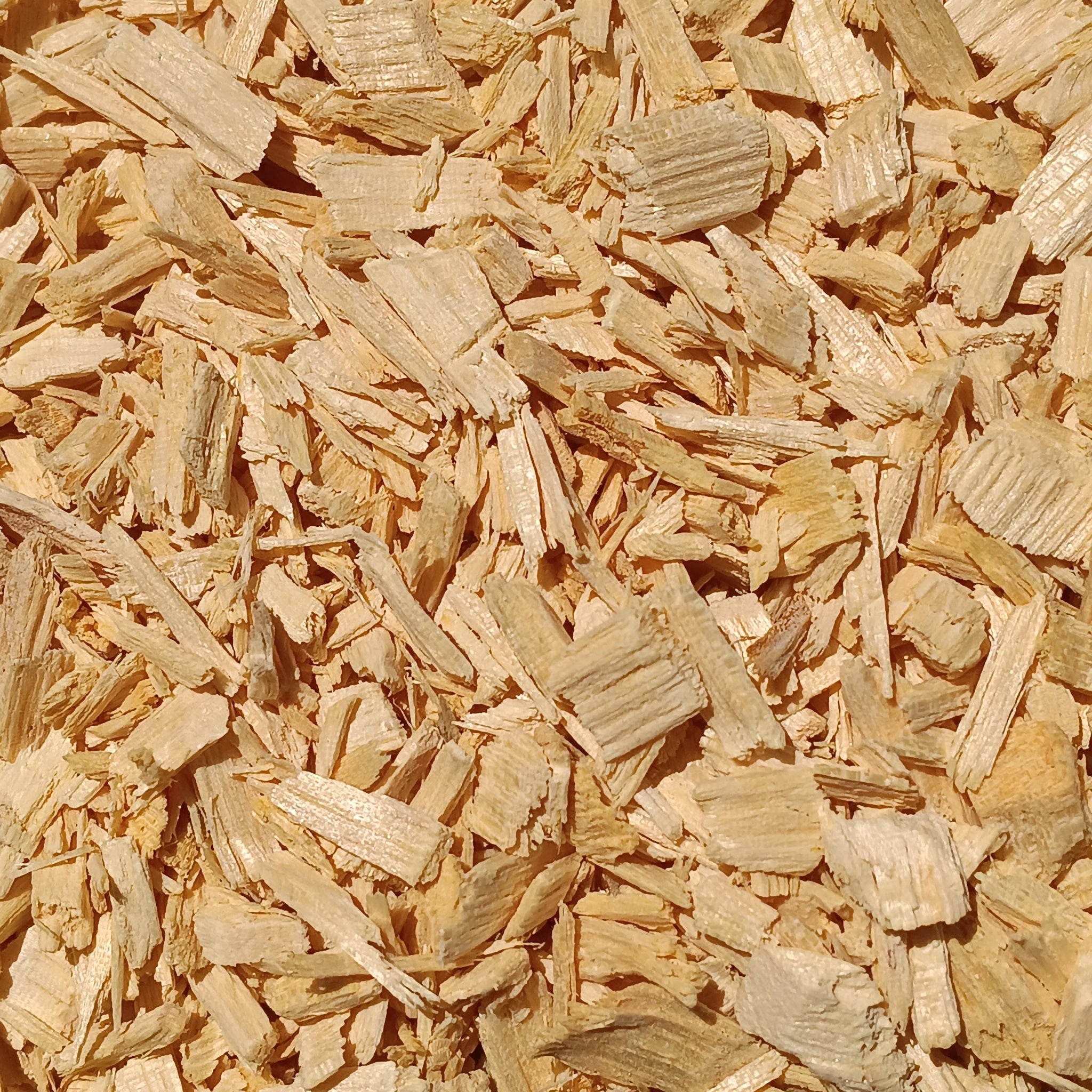 Bitteres Holz (Quassia Amara)