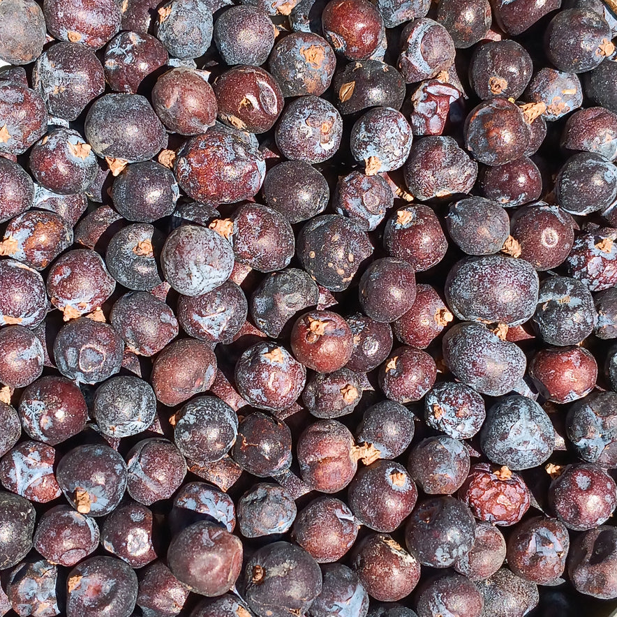 Image for Juniper Berries (Juniperus Communis)