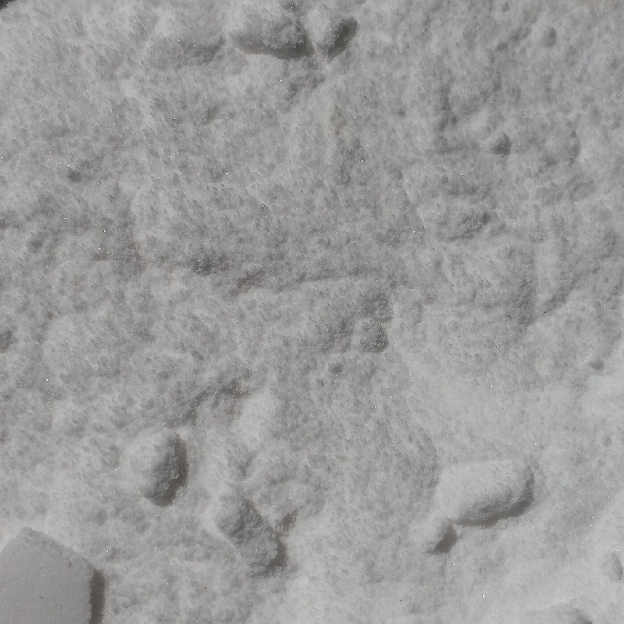 Baking Soda (Sodium bicarbonate)