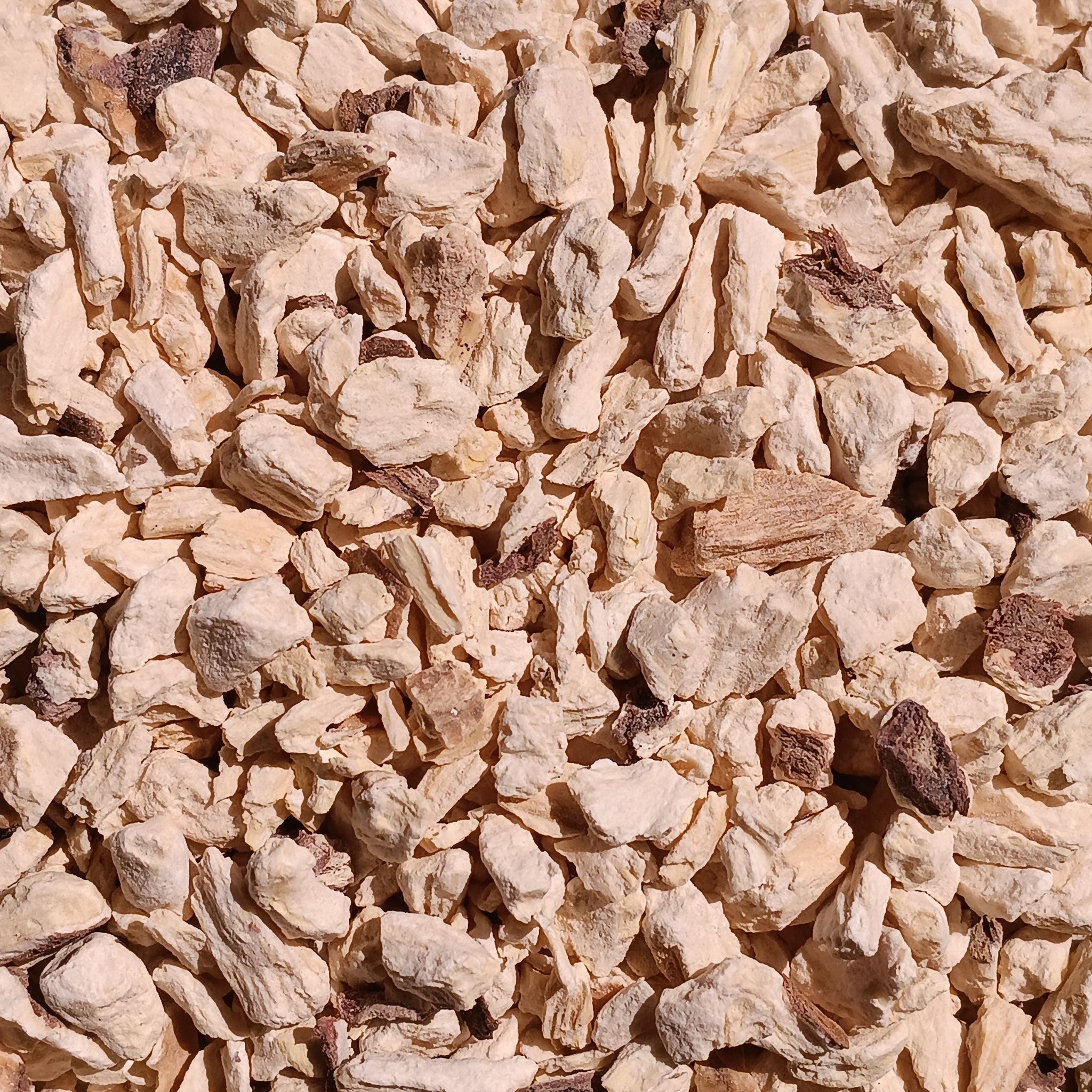 Soapwort Root (Saponaria Officinalis)