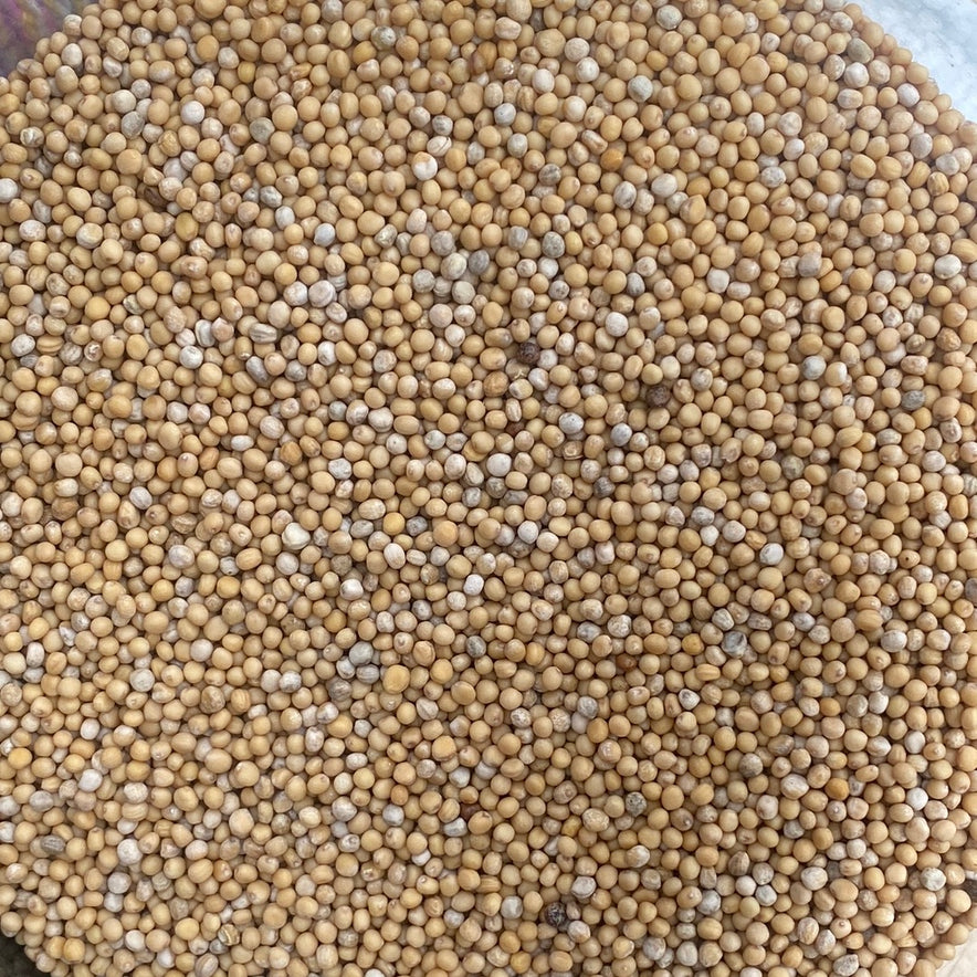 Image for Μουστάρδα Κίτρινοι Σπόροι