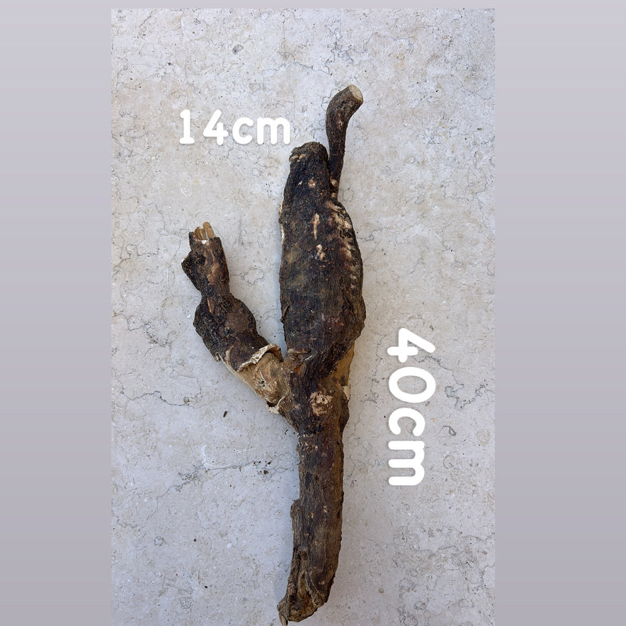 Image for <tc>Άγριος Κρητικός Μανδραγόρας | Ολόκληρη Ρίζα | 215 γραμμάρια</tc>