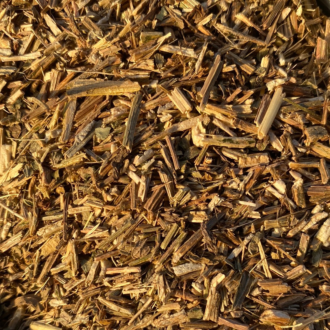 Vervain (Verbena Officinalis)