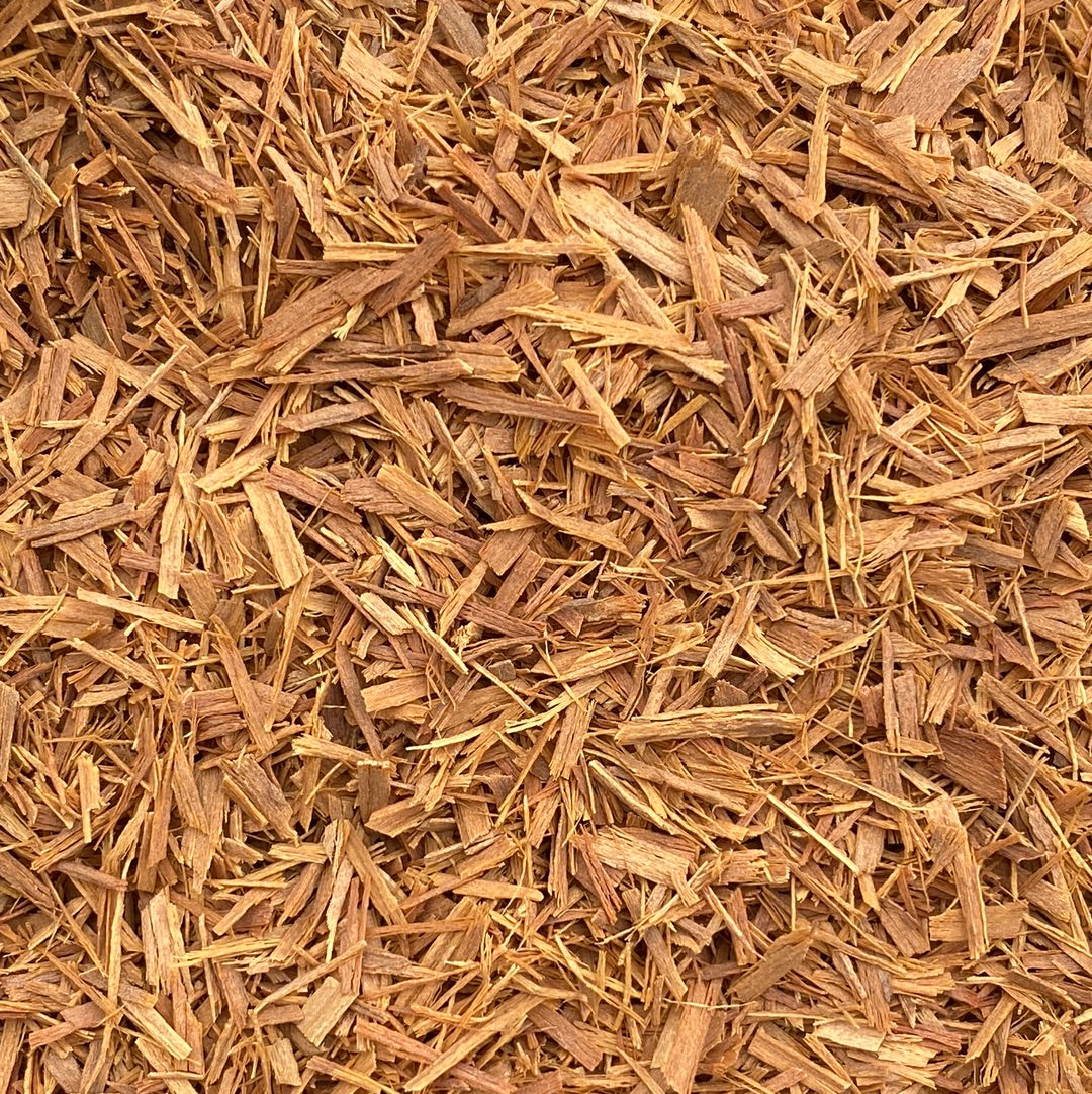 Katzenkralle (Uncaria tomentosa)