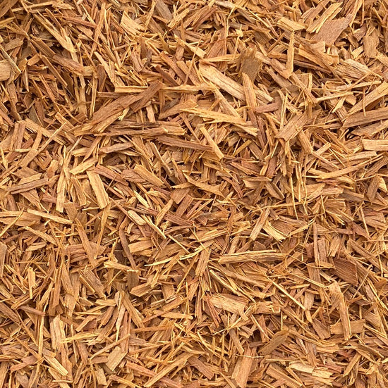 Katzenkralle (Uncaria tomentosa)