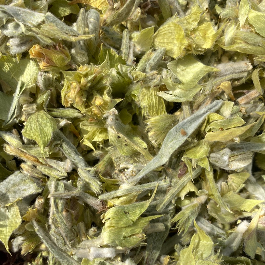 Taygetus Greek Mountain Tea (Sideritis Clandestina) - Organic