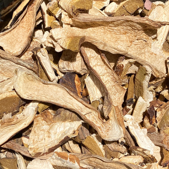 <transcy>Μανιτάρια Πορτσίνι (Boletus Edulis).</transcy>