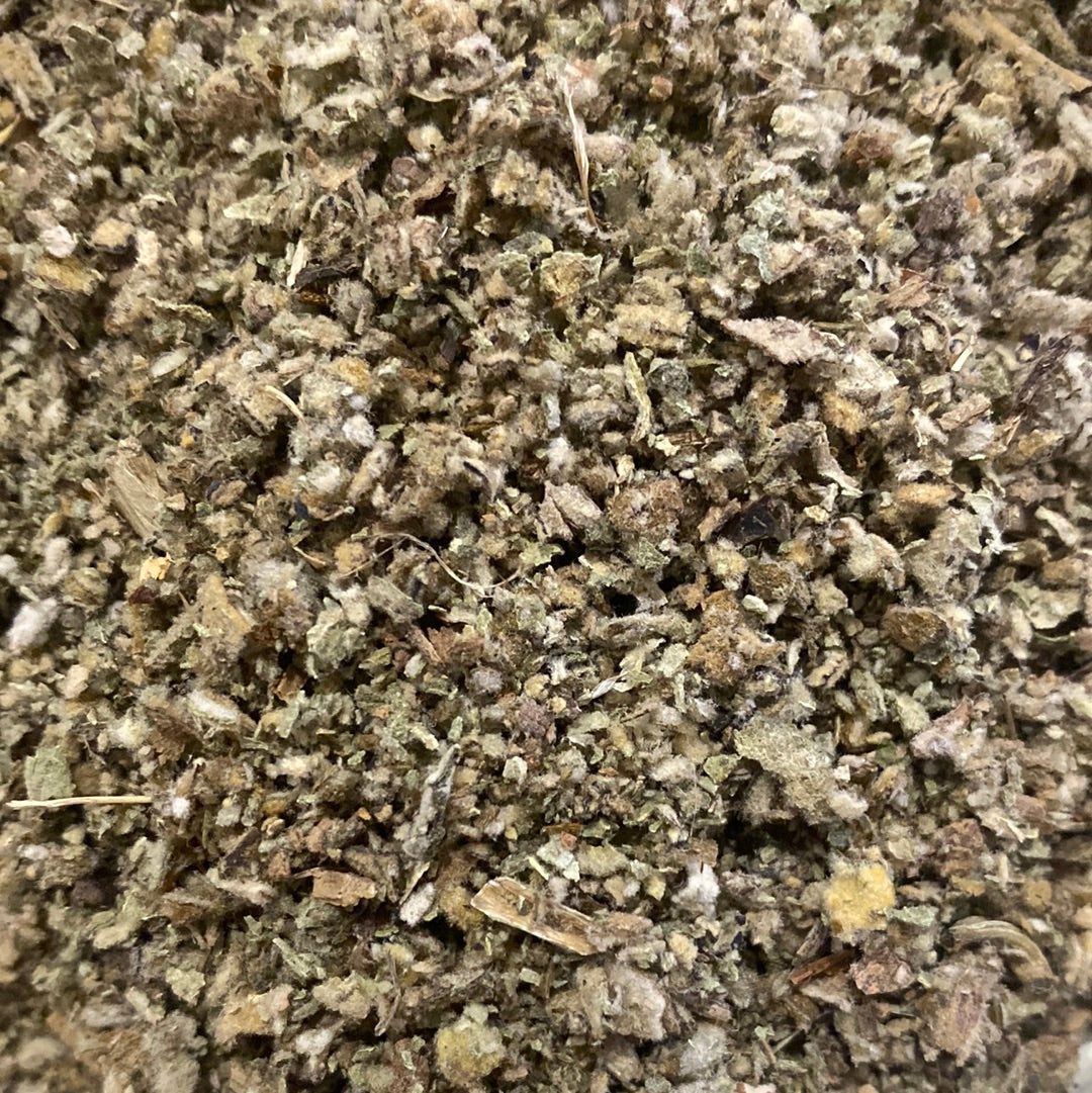 <transcy>Molène / Bouillon-blanc (Verbascum Thapsus)</transcy>