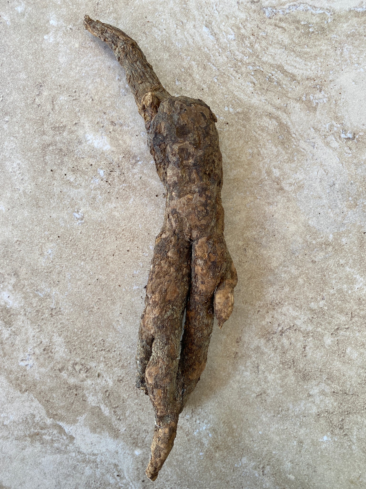 Wild Cretan Mandrake Whole Roots 180gr