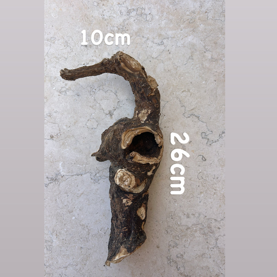 Image for Wild Cretan Mandrake Whole Root 360gr