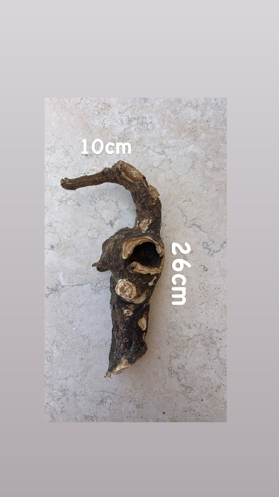 Wild Cretan Mandrake Whole Root 360gr