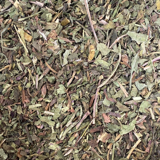 Löwenzahn (Taraxacum Officinale)l Bio