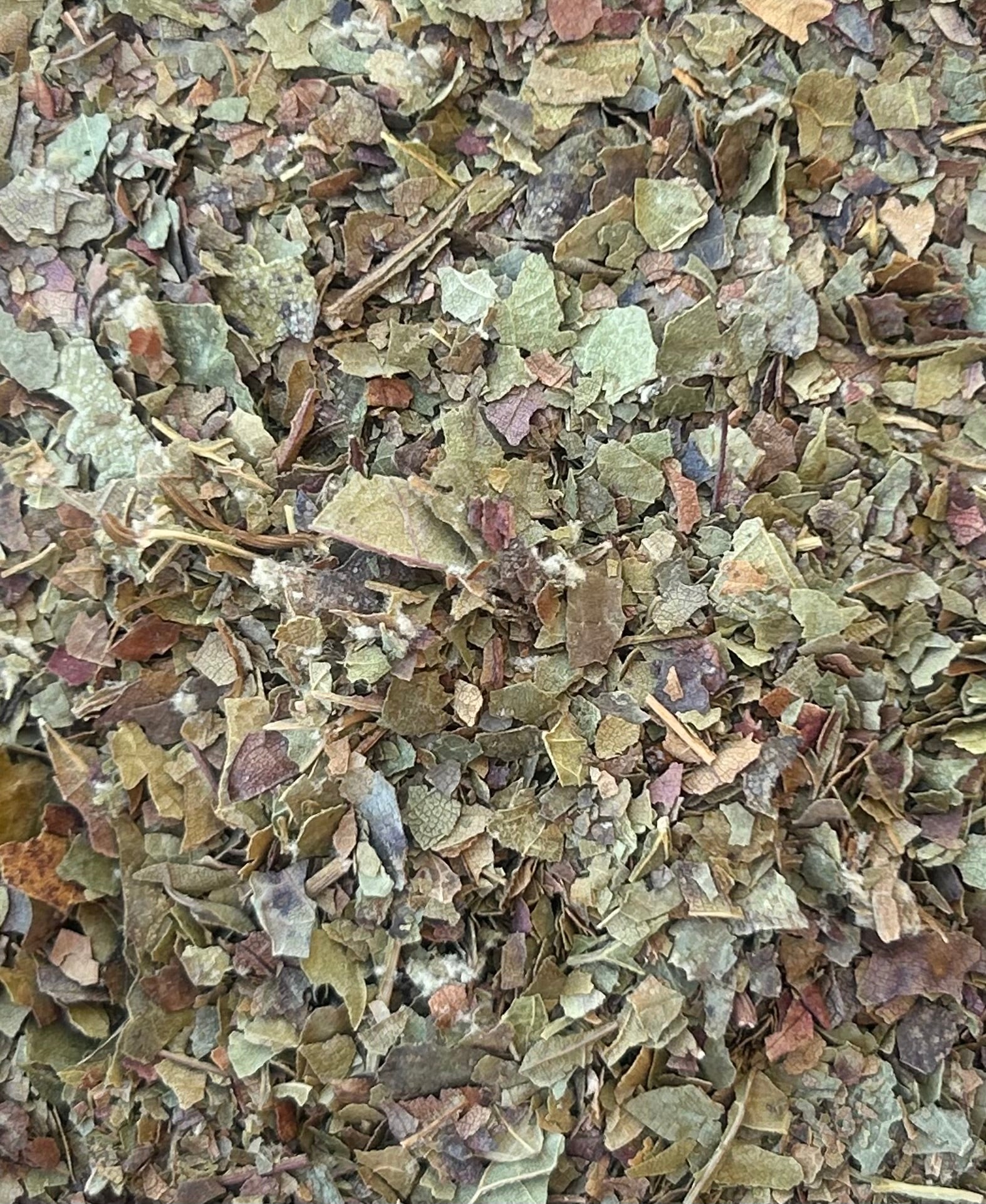 Red Vine Leaves