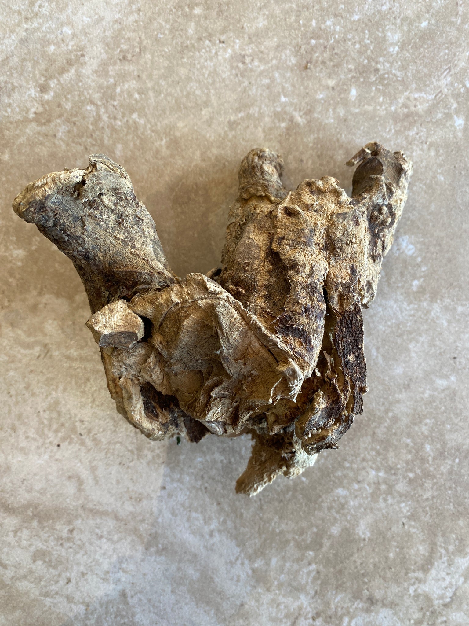 Wild Cretan Mandrake Whole Root 230gr