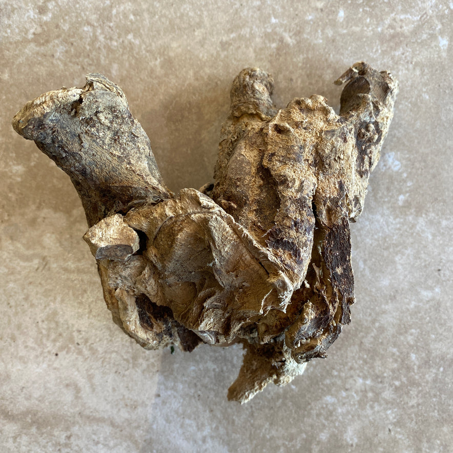 Image for Wild Cretan Mandrake Whole Root 230gr