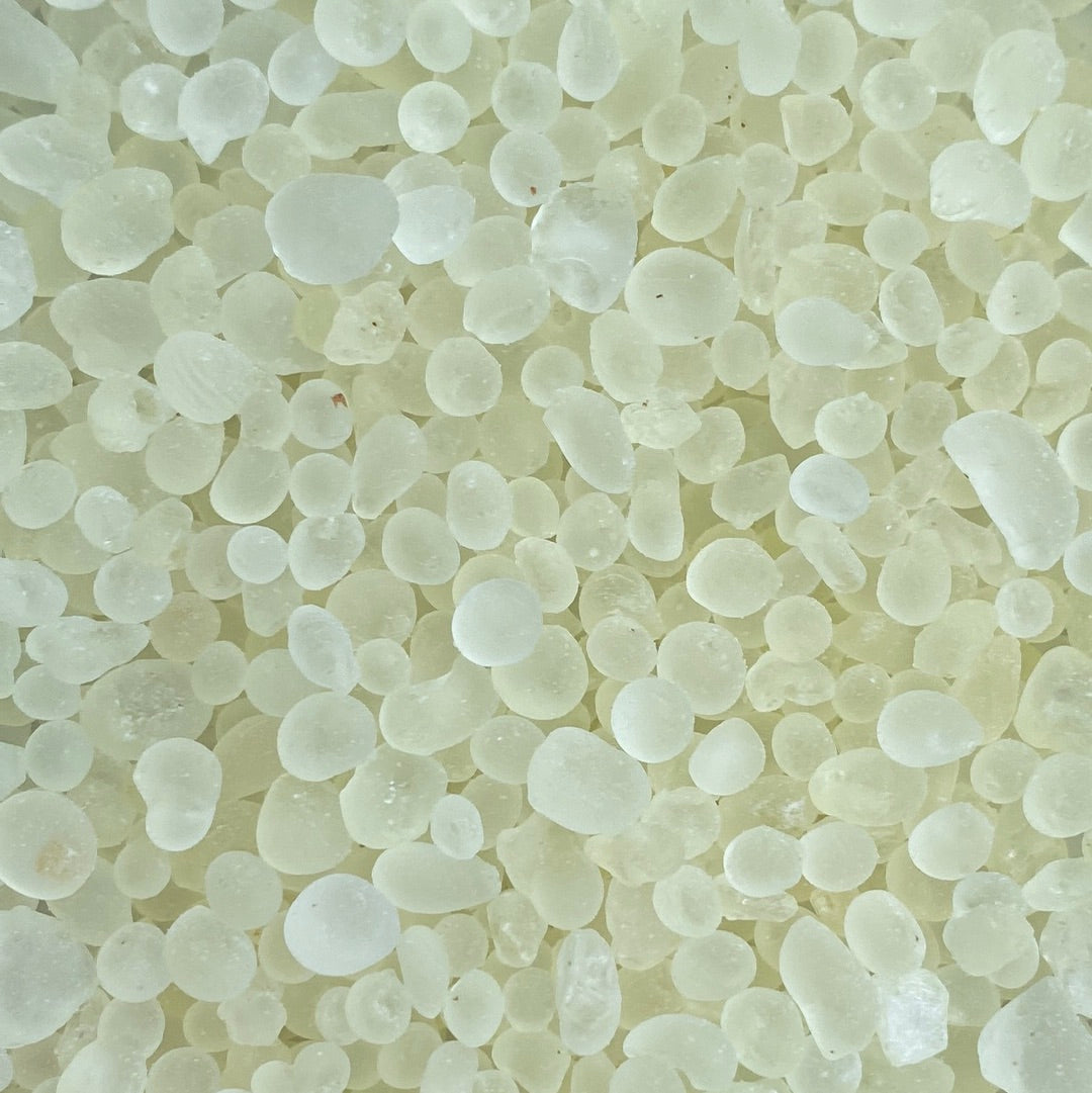 <transcy>Μαστίχα Χίου (Pistacia Lentiscus)</transcy>