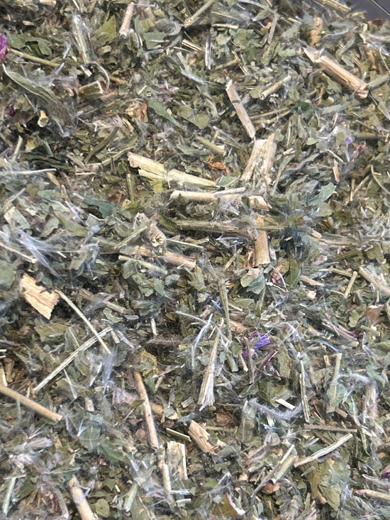 Weidenröschen (Epilobium Angustifolium)