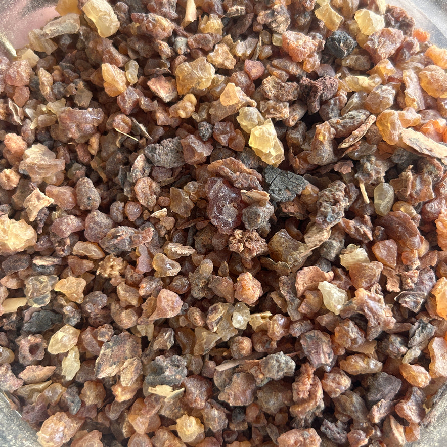 Image for Commiphora Myrrha (Myrrh)