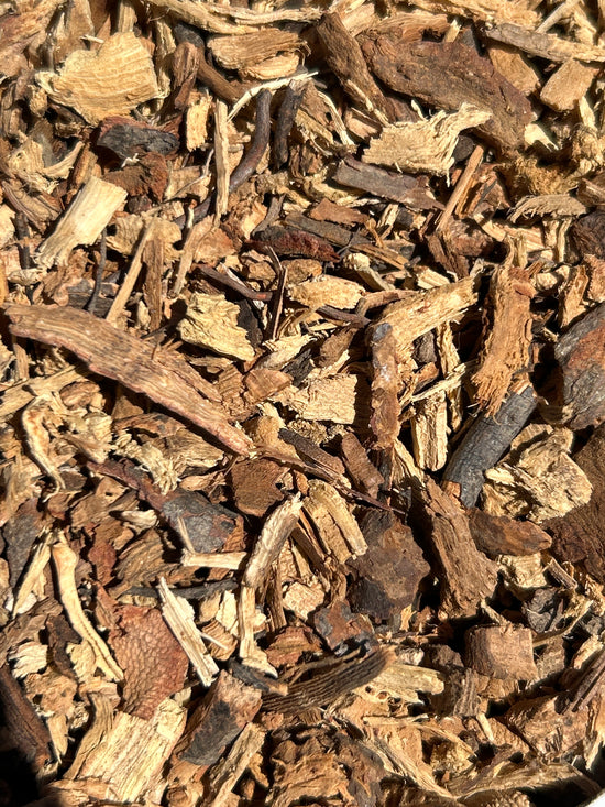 <transcy>Υδράγγεια / Ορτανσία Ρίζα (Arborescens)</transcy>