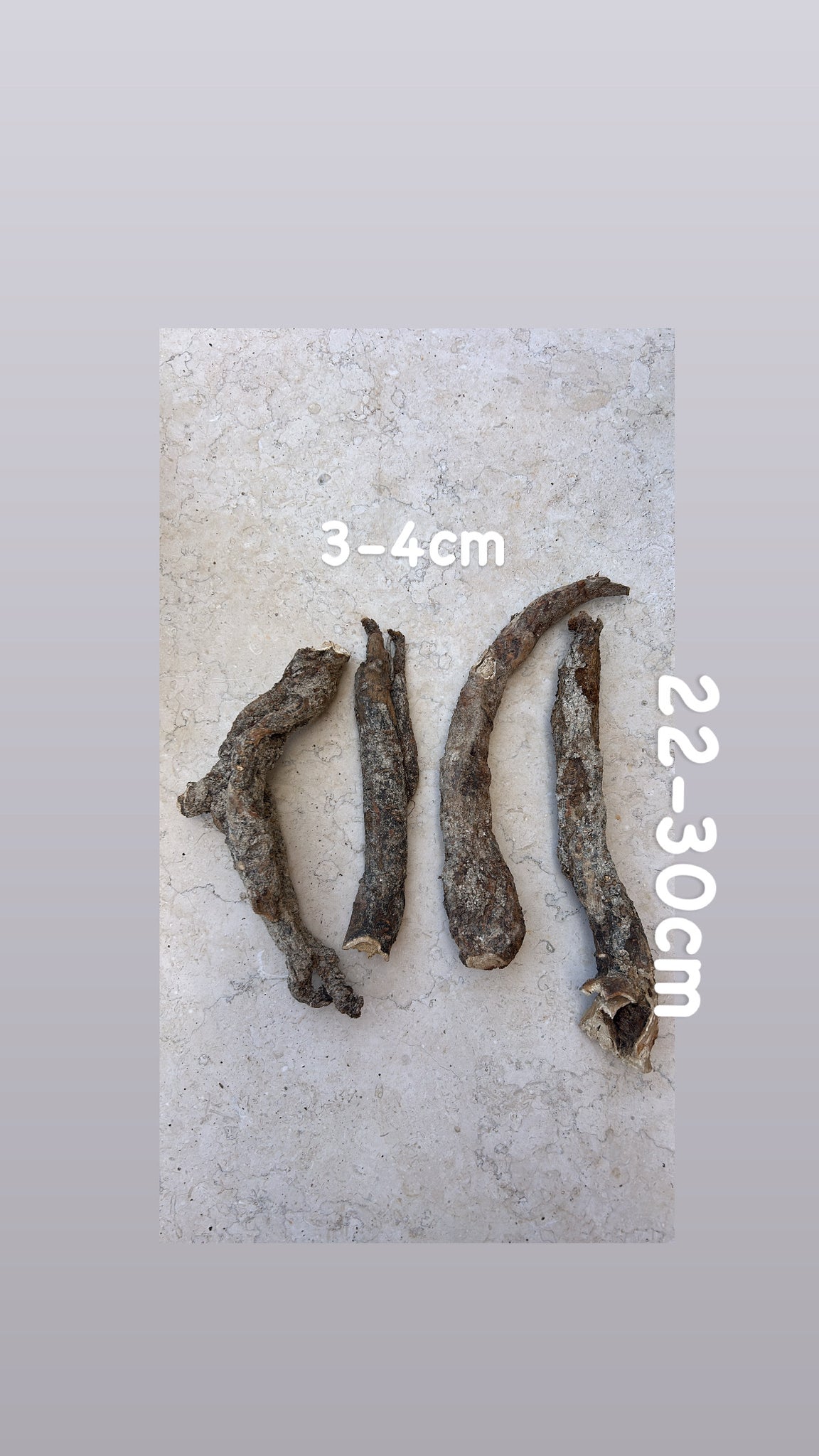 Wild Cretan Mandrake 4 Whole Roots 880gr