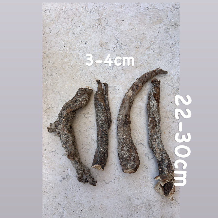 Image for Wild Cretan Mandrake 4 Whole Roots 880gr