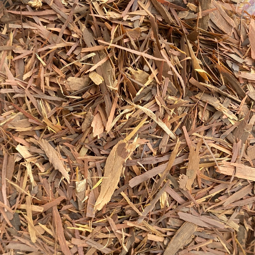 Image for Lapacho / Pau D’Arco (Tabebuia Impetiginosa)