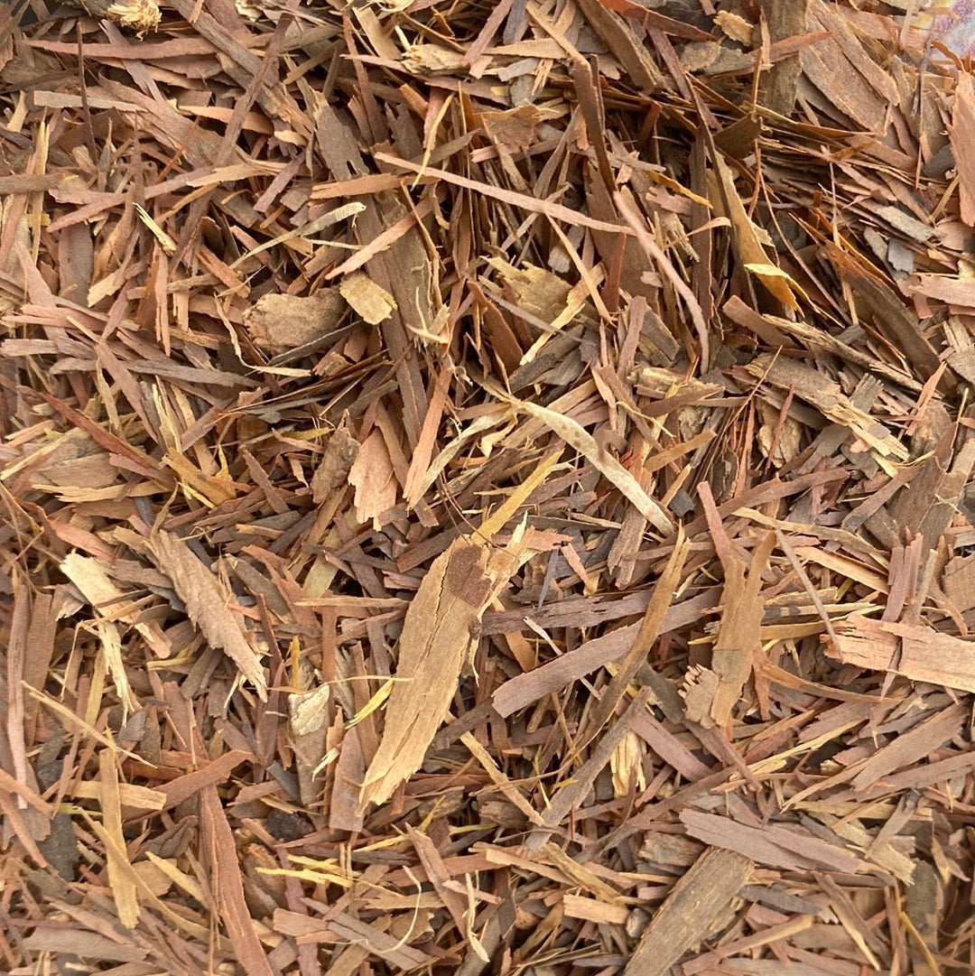 Lapacho / Pau D’Arco (Tabebuia Impetiginosa)