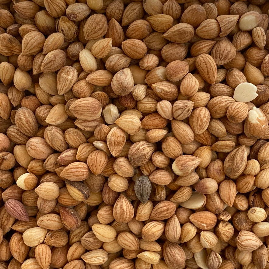 Image for Graines de mahaleb