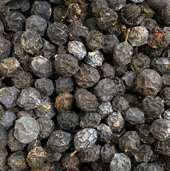 Schlehe (Prunus spinosa)