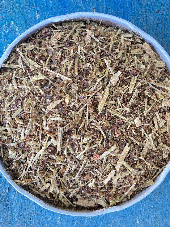 Sauerampfer (Rumex Acetosella)