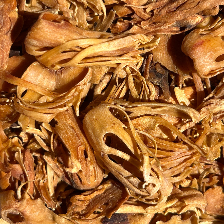 Image for Muskatblüte (Myristica Fragrans)