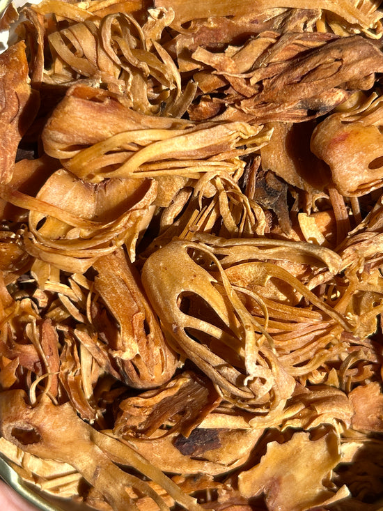 Muskatblüte (Myristica Fragrans)