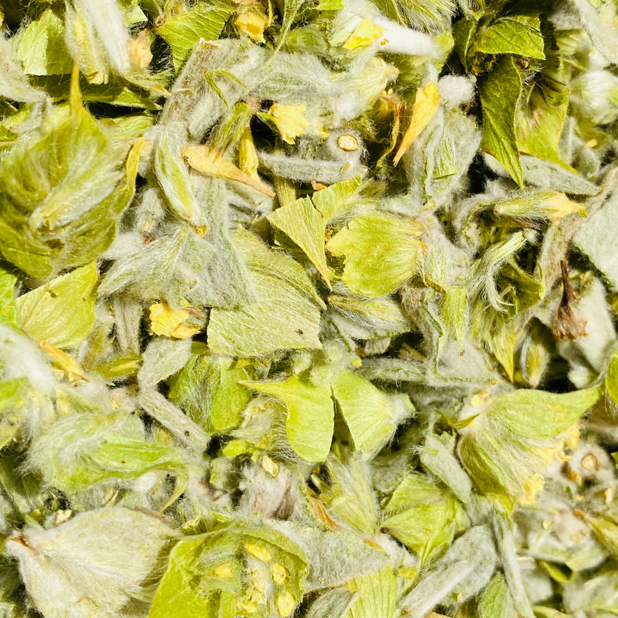 Image for Olympus Greek Mountain Tea (Sideritis Scardica) | Organic