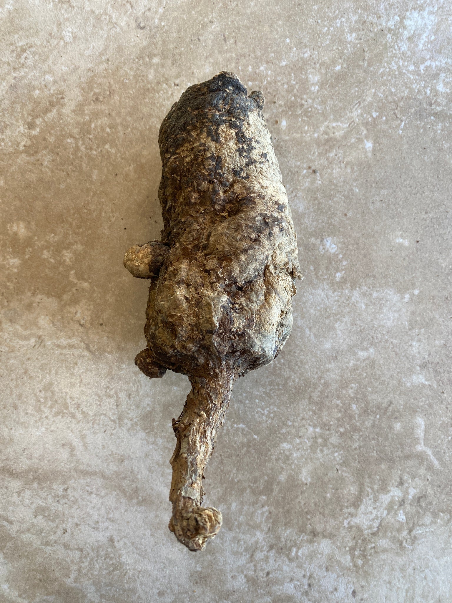 Wild Cretan Mandrake Whole Root 275gr