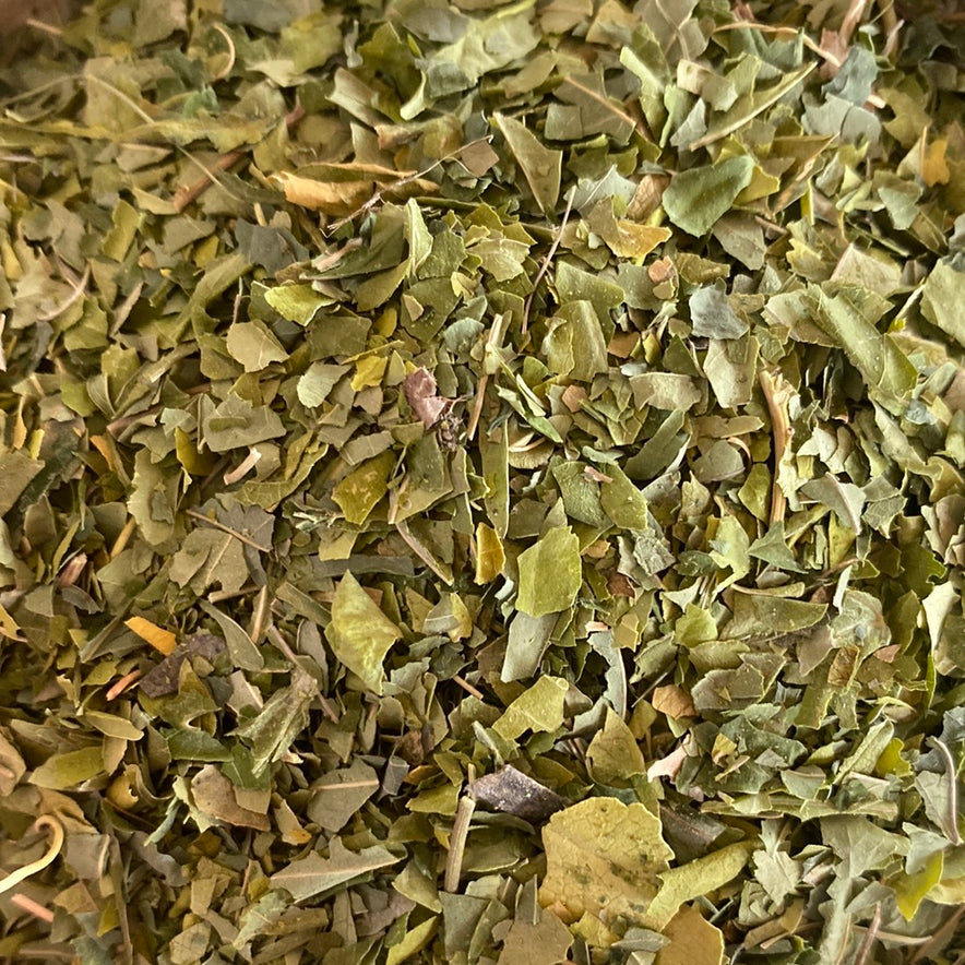 Image for Passionsblume (Passiflora Incarnata)