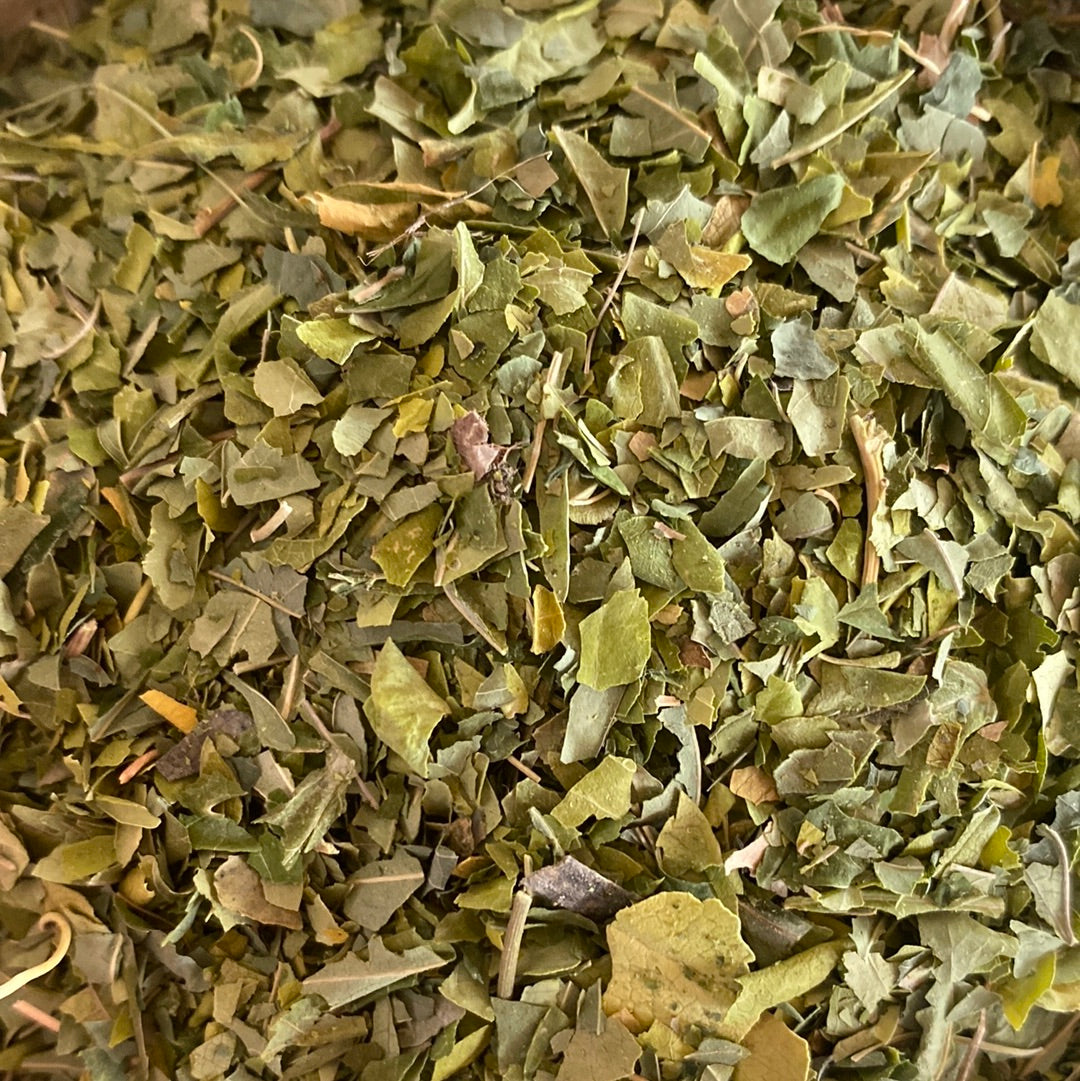 Passiflore (Passiflora Incarnata)